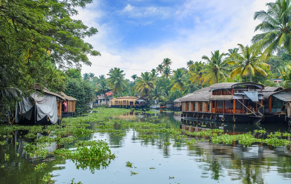 Cultural and Scenic Tour of Kochi, Munnar, and Kovalam