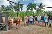Bayahibe Discovery