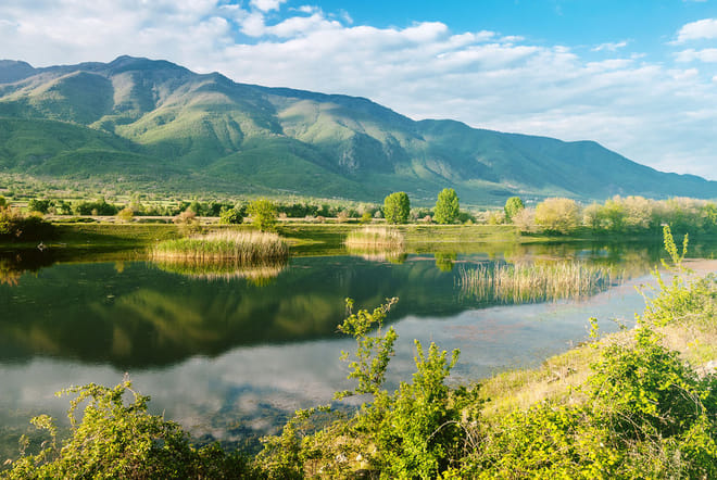Kerkini Lake Ecotourism from Thessaloniki photo 4