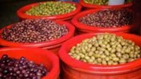 Greek olives