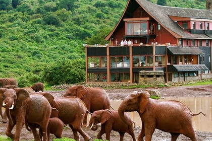 12days Best Of Kenya Big Five Wildlife Safari