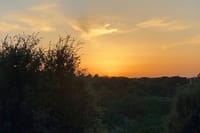 Rome Sun Set Tour  7