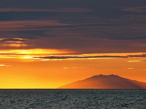 Reykjavík Classic Whales in the Midnight Sun, photo 7