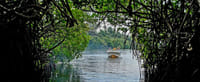 05 Day Adventure Tour excursions From Colombo  10