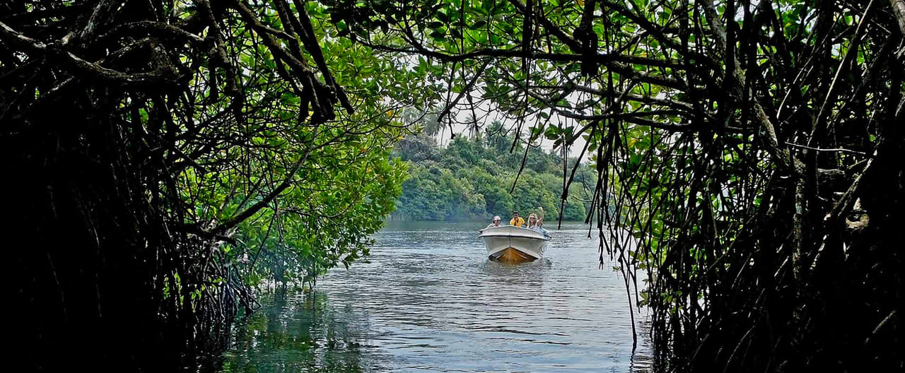 05 Day Adventure Tour excursions From Colombo  10