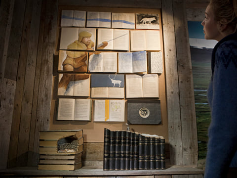 From Antlers to Ancestors: East Iceland's Reindeer and History Tour, photo 5