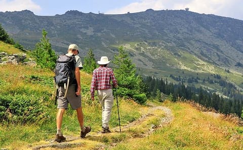 Hiking Tour of Vitosha Mountains and Cherni Vryh from Sofia