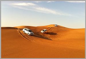 Abu Dhabi Liwa Safari with Lunch