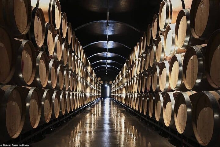 Douro Tour, Lunch at an Award-Winning Winery and Private Cruise