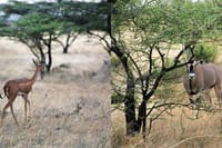 Amazing scenery in the reserve