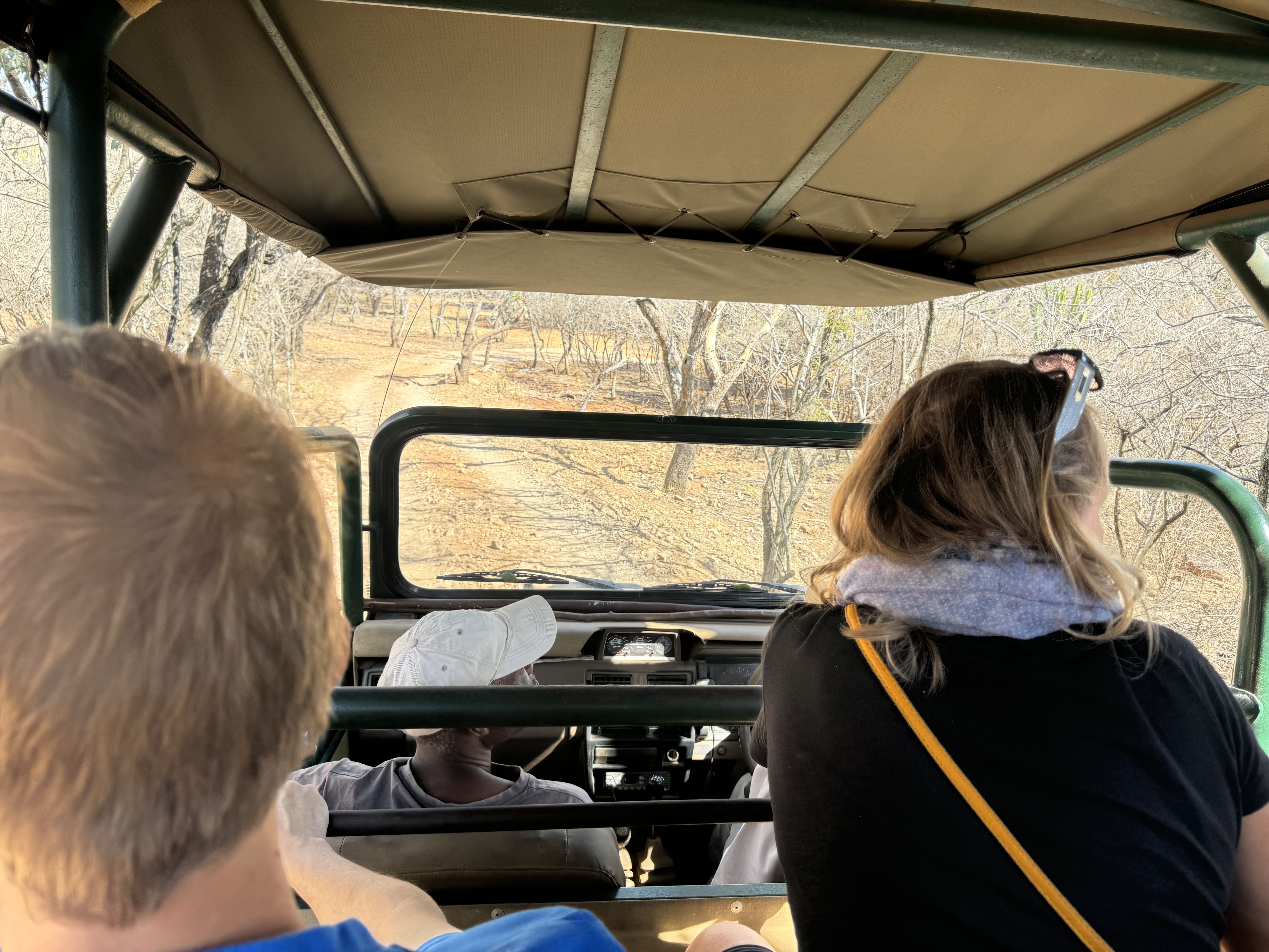 Open safari vehicle tour at ann van dyk cheetah centre