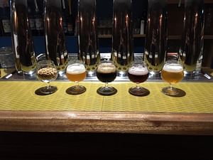 Beer tasting experience in Marseille