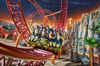 Roller Coaster