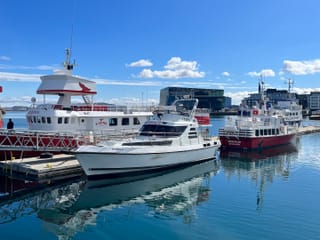 Reykjavík Whales & Puffins, photo 21