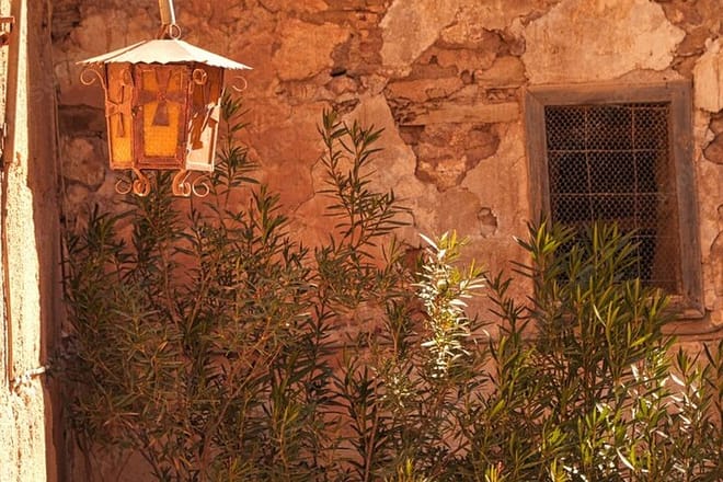 Private Day Tour To Saint Catherine's Monastery By VIP MiniBus photo 6