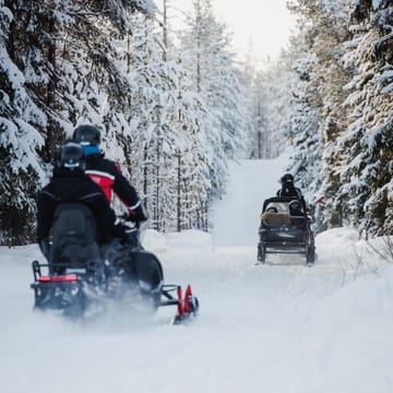 Family Safari in Rovaniemi