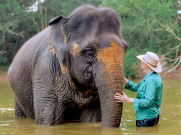 Phuket: Ethical Elephant Sanctuary Tour, Walk, and Lunch