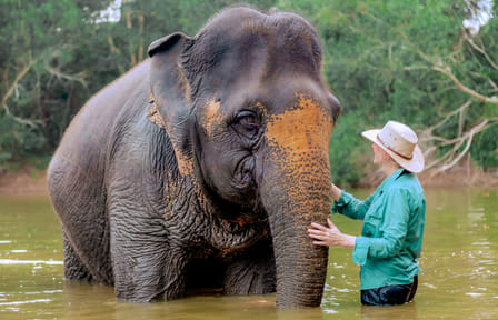 Phuket: Ethical Elephant Sanctuary Tour, Walk, and Lunch