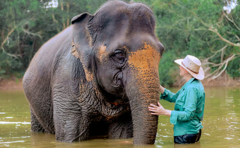 Phuket: Ethical Elephant Sanctuary Tour, Walk, and Lunch