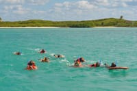 Paradise Islands Tour: Isla Contoy and Isla Mujeres 9