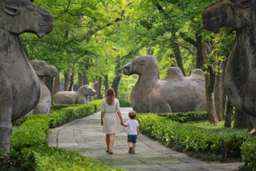 Nanjing Local Food Tasting Tour with Tea and Desserts