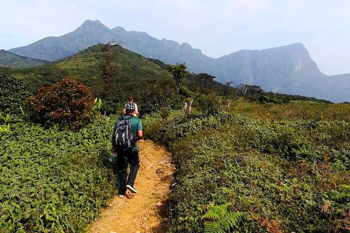 Kandy & Nuwara Eliya | 2 Days Tour