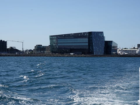 Whale watching - Downtown Reykjavík, photo 11
