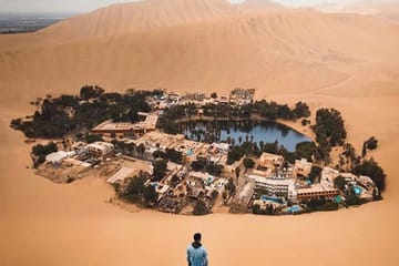 Ballestas Islands and Huacachina Oasis Day Trip from Lima