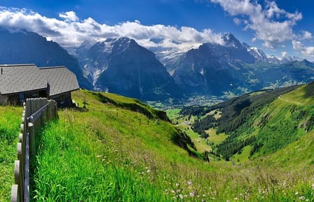 Guided Walking Tour of Grindelwald's Village and Scenic Views