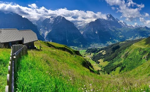 Guided Walking Tour of Grindelwald's Village and Scenic Views