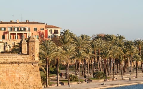 Private Guided Tour of Palma de Mallorca's Historic Landmarks