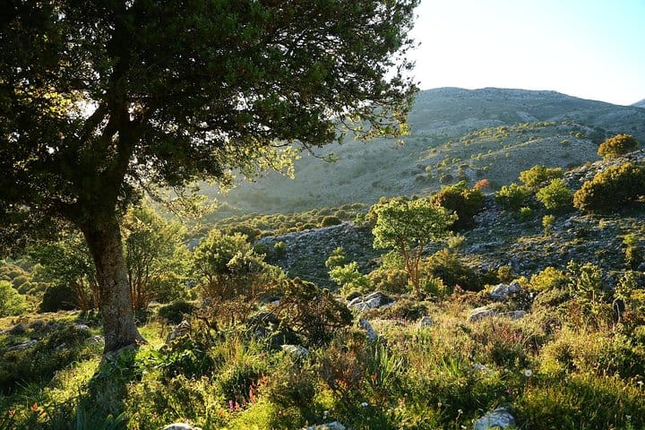 Private Therisos, Zourva and Meskla Day Trip from Chania 2