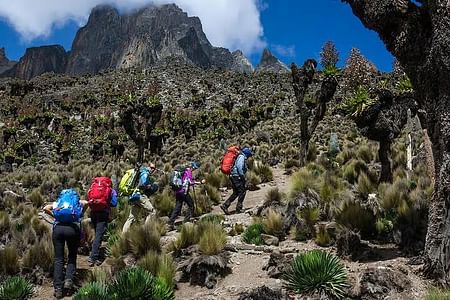 Nairobi to Mount Kenya Full Day Private Tour