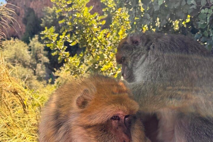 Private Full Day Tour Ouzoud Waterfalls from Marrakech