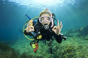 Full-day Scuba Diving Experience for Beginners & Lunch - Sharm El Sheikh