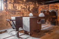 Auschwitz-Birkenau Memorial and Wieliczka Salt Mine 1 Day Guided Tour 6