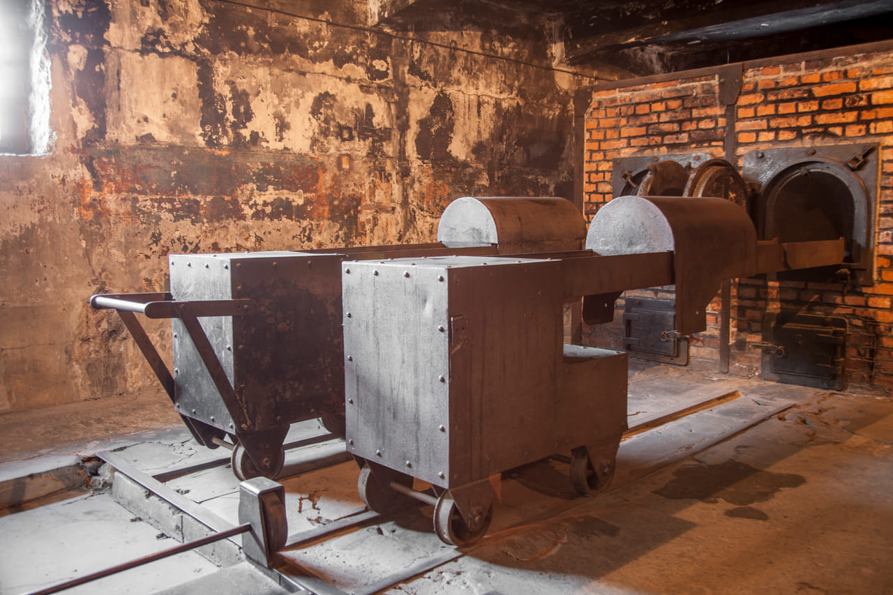 Auschwitz-Birkenau Memorial and Wieliczka Salt Mine 1 Day Guided Tour 6