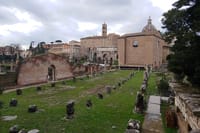 Basilica Aemlia and the Curia