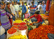 Mysore in a Day: Private Tour from Bangalore 4