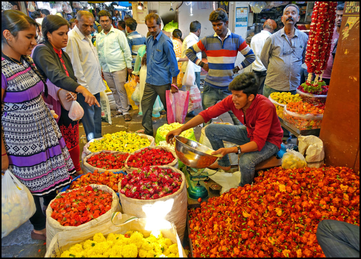 Mysore in a Day: Private Tour from Bangalore 4