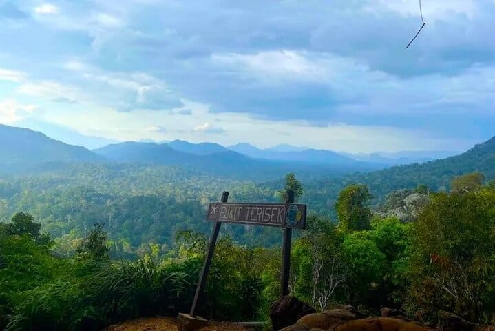 Taman Negara — an area beloved by nature lovers and hikers alike. The lush, rolling treetops and enveloping mist showcase the serene grandeur of Malaysia’s oldest rainforest.