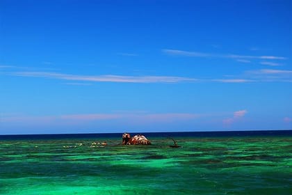 Roatan North Side Mangroves, Starfish, Shipwreck Snorkeling & Transportation