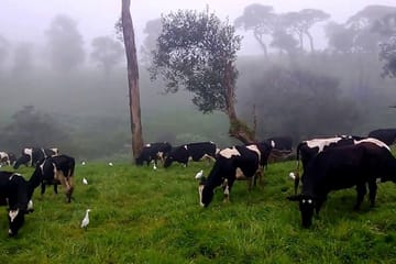 Three-Day Nature and Culture Tour from Kandy, Sri Lanka