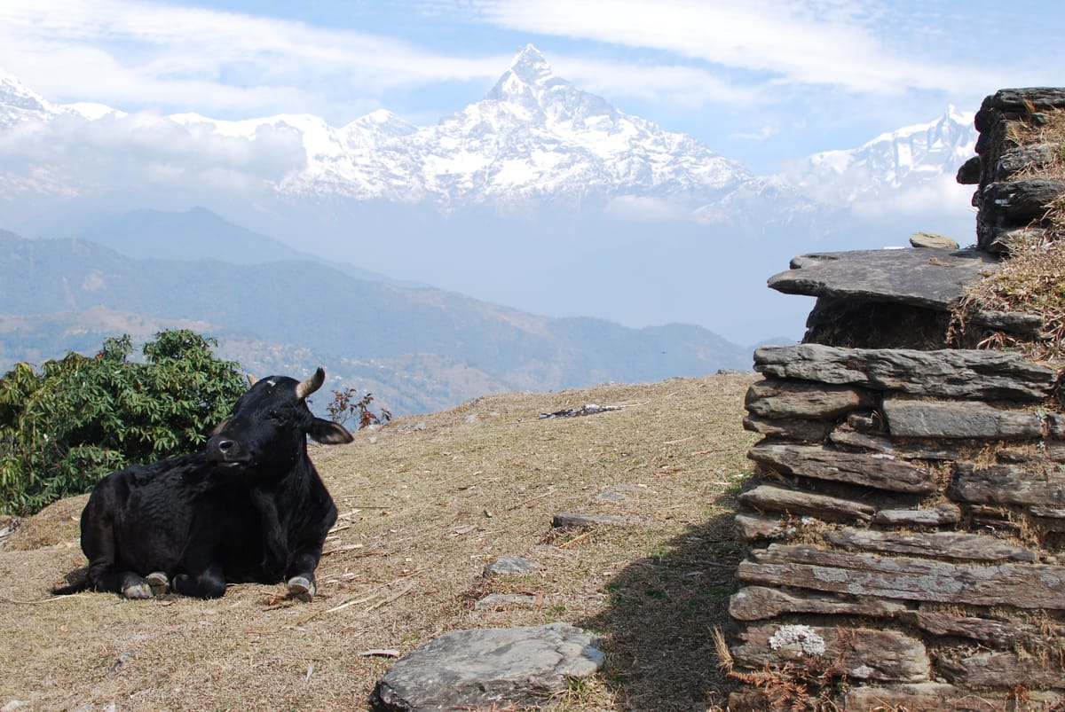 19 Days Mera Peak Climbing & Expedition – One Life-Changing Himalayan Adventure