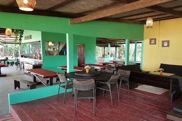 1 Night Jungle Experience and Boat Tour from Manaus