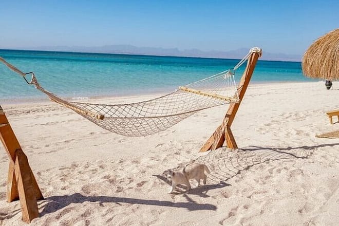Giftun Hula Hula Island Sea Trip with lunch&amp;Water Sports HURGHADA