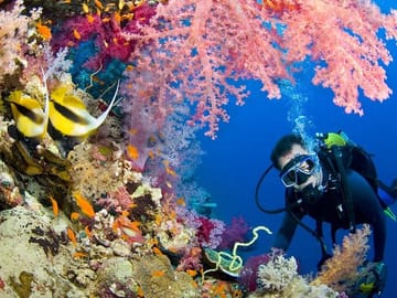 intro diving sharm el sheikh