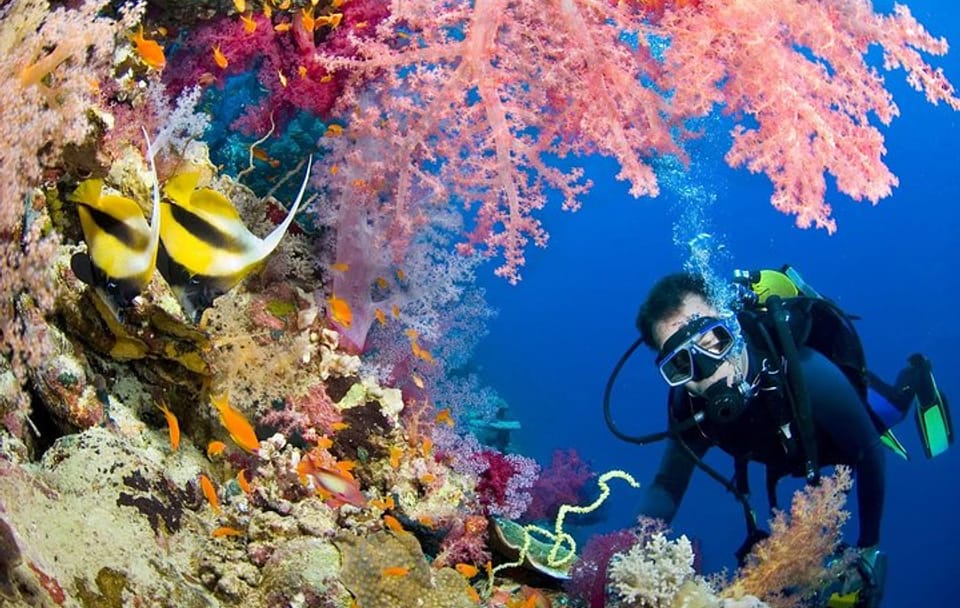 Intro Diving and Snorkeling day Trip