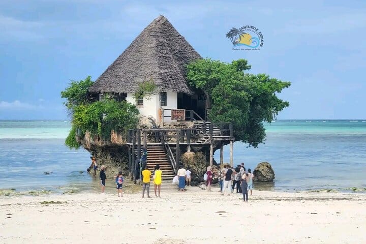 Zanzibar Prison Island, Jozani Forest and Salaam Cave Sea Turtles