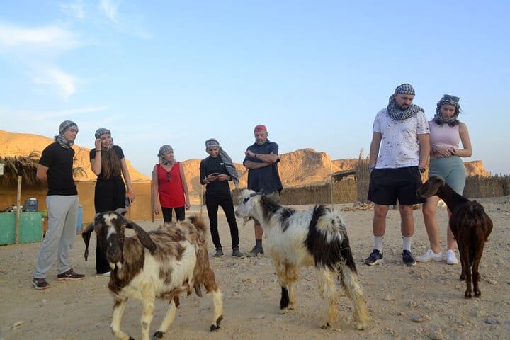 Desert Jeep Safari , Camel Riding & Bedouin dinner in Marsa Alam